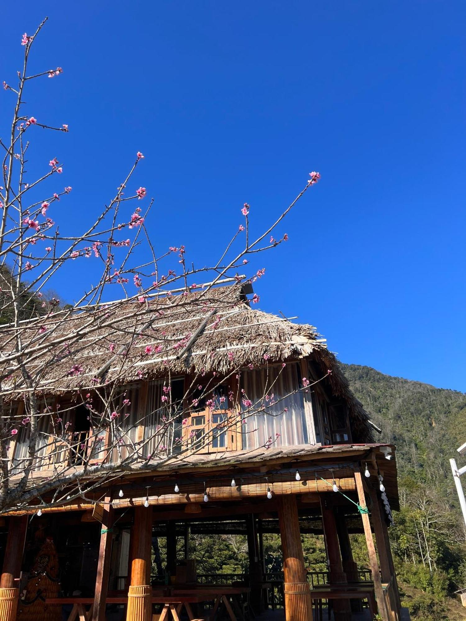 Ta Xua Ecolodge Bac Yen Esterno foto